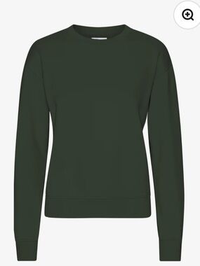Colorful Standard - Everyday Crewneck Sweater in Deep Forest Green